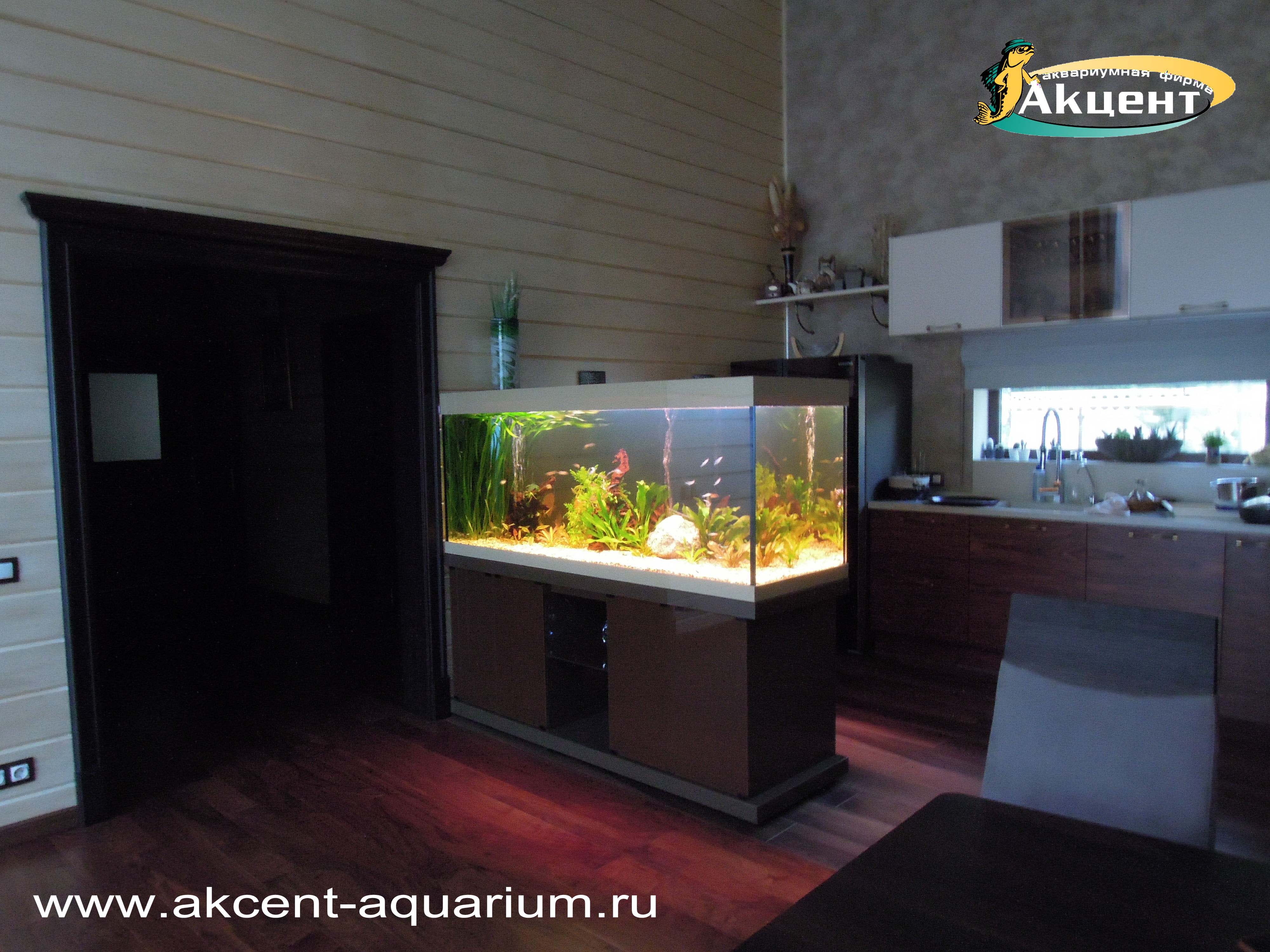 Акцент-аквариум, аквариум просмотровый 600 литров, с живыми растениями